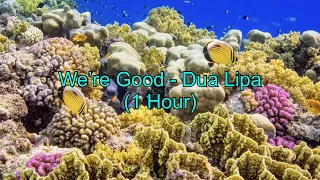 We’re Good by Dua Lipa (1 Hour CLEAN w/ Lyrics)