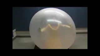 princess trap inside big balloons