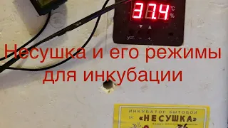 Инкубация в Несушке БИ-2 с отличным выводом/ режимы в автоматическом инкубаторе