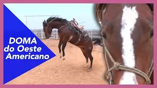 Nos EUA, COWBOY apresenta a sela ao POTRO