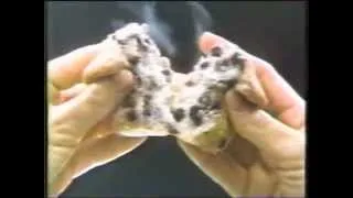 1984 Dunkin Donuts muffins from Dunkin Donuts Commercial