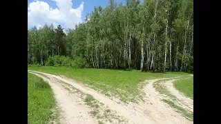 "ВОТ ОНА, МИЛАЯ РОЩА"... (Фото гр. "Времена года на фото" - Пензенский Русский Народный Хор)