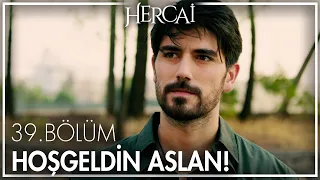 Aslan Aslanbey yeni evine yerleşiyor! - Hercai 39. Bölüm