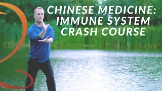 Immune System Crash Course: How the Immune System Works Based on Traditional Chinese Medicine