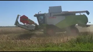 ☆claas tucano☆rapita 2020☆[harvested canola]☆