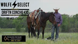 DRIFTN CONCHO KID - Hip #13 || Wolfe Select, LLC. || Diamond McNabb Ranch Horse Sale 2024