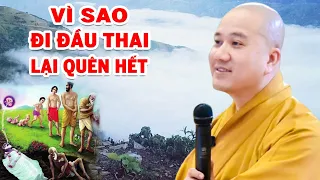 Vì Sao Đi Đầu Thai Lại Quên Hết'' Vấn Đáp Sự Khác Biệt Đầu Thai Và Tái Sanh - Thầy Thích Pháp Hòa