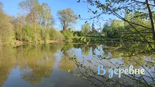 ПРИЕХАЛИ В ДЕРЕВНЮ. СХОДИЛИ НА РЫБАЛКУ. НАШ УЛОВ.