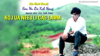 koj ua neej li cas lawm by lis kub hawj