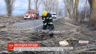 Сильний вітер зносив дахи, валив дерева й електродроти – наслідки негоди в Україні