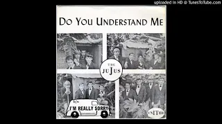 The JuJus - Do You Understand Me