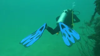 Wreck dive Seychelles 13 06 23