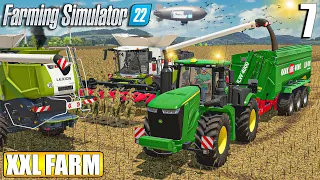 FIRST BIG SUNFLOWERS HARVEST - 140.000l | The XXL FARM - Timelapse #7 | Farming Simulator 22