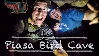 Dangerous Piasa Bird Cave Adventure