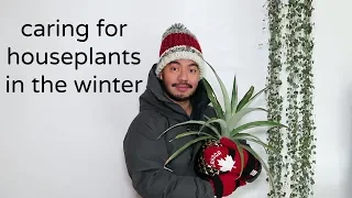 How To Care For Houseplants | Winter Season