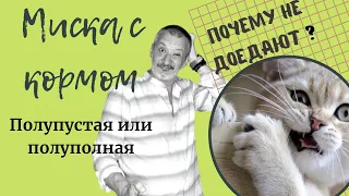 Миска с кормом. Полупустая или полуполная. Почему они не доедают?