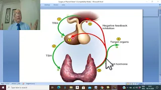 Thyroid disorders in Arabic 1 ( Introduction , part 1 ) , by Dr. Wahdan .