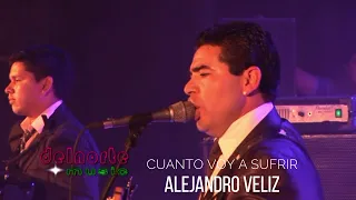 CUANTO VOY A SUFRIR - ALEJANDOR VELIZ - TEATRO 25 DE MAYO 2013