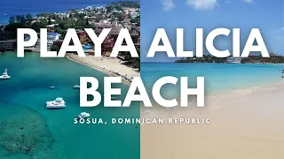 Playa Alicia Beach | Sosua, Dominican Republic