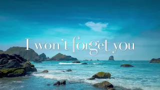 Remember Me - Agnetha Fältskog with Lyrics