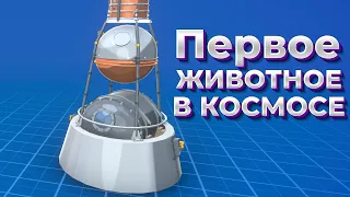 ПЕРВОЕ ЖИВОТНОЕ В КОСМОСЕ ( Mars Horizon )