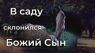 В саду склонился Божий Сын♫Прославление Песня♫