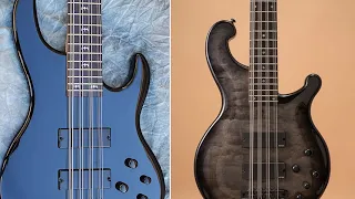 Best 12 String Bass Guitars: Everything You Need to Know