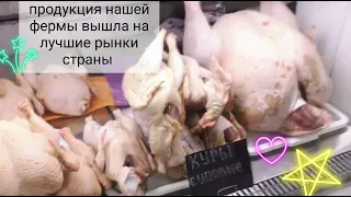 Продажа домашнего мяса . от А до Я