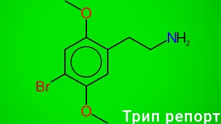 2c-b (Сибирь) трип репорт