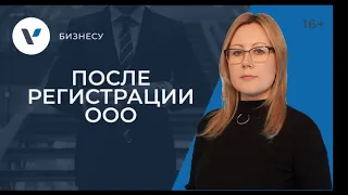 Что делать после регистрации ООО?