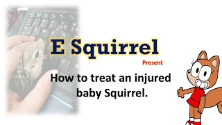 Episode 02 How to treat an injured  baby Squirrel.