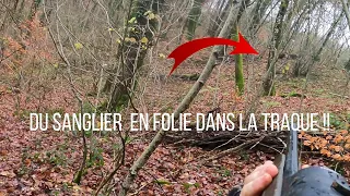 UNE TRAQUE AU SANGLIER EXCEPTIONNELLE !!