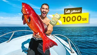 تحدي صيد أغلى سمكة في البحر الأحمر 💸| صدمني سعرها !🤑