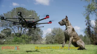 Introducing the Petco DooDoo Drone! (Petco)
