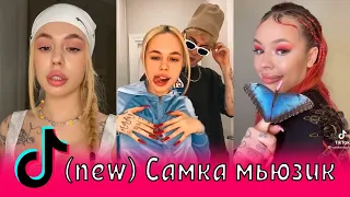 (new) Самка мьюзик в Тик Ток / Ганвест, MONEYKEN, Миа Бойка, Инстасамка