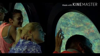 Honeymoon Trip to Maldives Part 3 - One with the Submarine - Underwater in Ocean - Whale Submarine