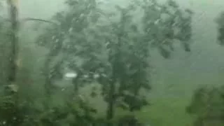 Ураган в Минске валит деревья.13.07.2016