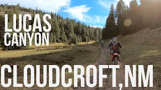 Lucas Canyon Trail, Cloudcroft NM | CRF 250F