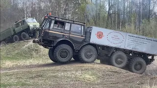 Tatra 815 & 813 im Gelände 8x8 Offroad V12 BiTurbo Finowfurt 2022