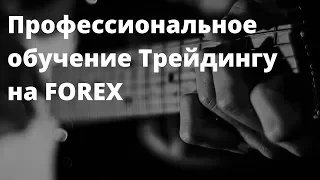 Профессиональное обучение Трейдингу на FOREX.