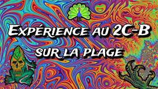 Trip au 2C-B sur la Plage (Trip Report)