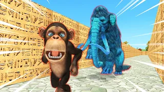 Funny monkey run away # Zombie elephant mammoth Temple run parody | Versuslife