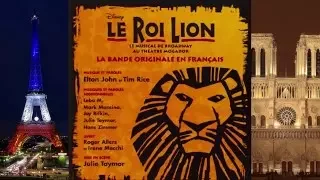 19. Le Roi de Rocher des Lions/Le Cercle de La Vie (Reprise) - LE ROI LION