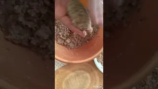 котлеты без мясо (ФАРША)