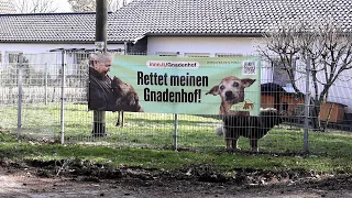 Der Gnadenhof Eifel in Harscheid