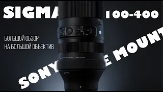 Sigma 100-400 Contemporary | Большой обзор на большого братишку