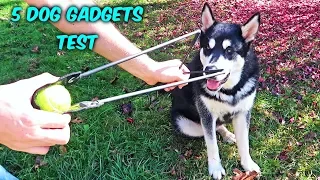 5 Dog Gadgets Put to the Test - Part 10