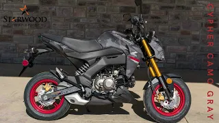 2024 Kawasaki Z125 PRO