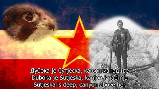 Yugoslav Partisan Song - Peregrine Falcon (Rock version)