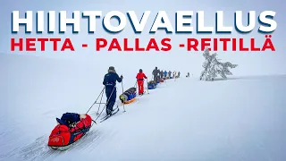Kuuden päivän hiihtovaellus Hetta-Pallas -reitillä | Eräopaskoulun vaativa vaellus